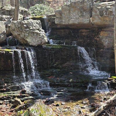 Along the Copper Mine Trail.