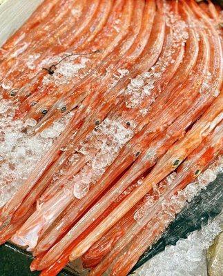 CÁ CHÌA VÔI TƯƠI SỐNG