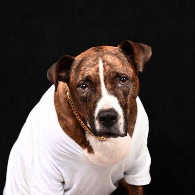 My muse #kingcease R.I.P