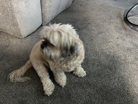 Diamond checking it out!