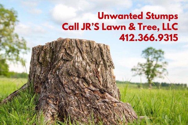Jr's Lawn & Tree LLC