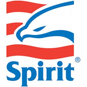 Al's Spirit Service Station will run diagnostics to determine whether or not you need an engine repair in Lake Hopatcong, NJ....
