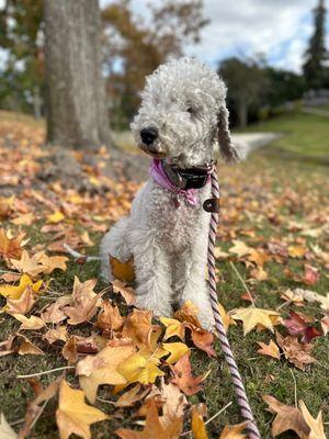 La Mirada Creek Park