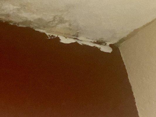 Red Roof Inn Pharr - McAllen