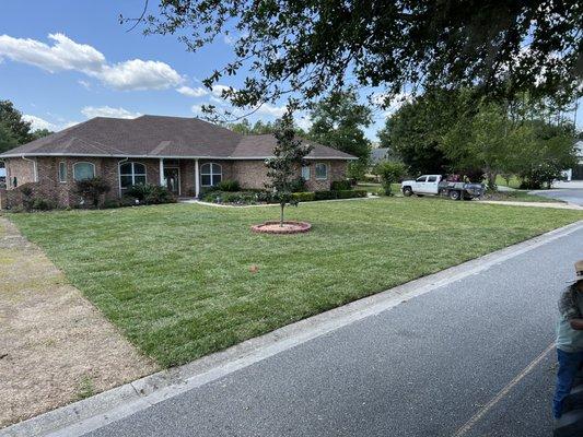 St. Augustine sod install