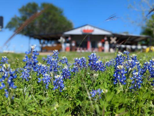 Iron Eagle Beer Garden