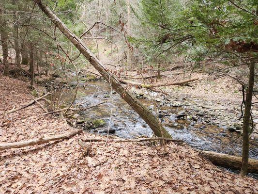 Laughing Brook Wildlife Sanctuary