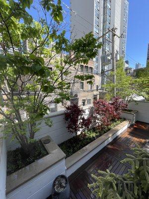 Alex and David Landscaping and Construction