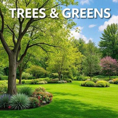 Trees and Greens Yard Services