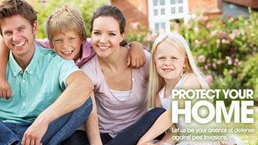 Residential Pest Control Seattle WA