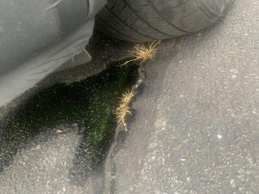 My car now leaking coolant and has never done that before