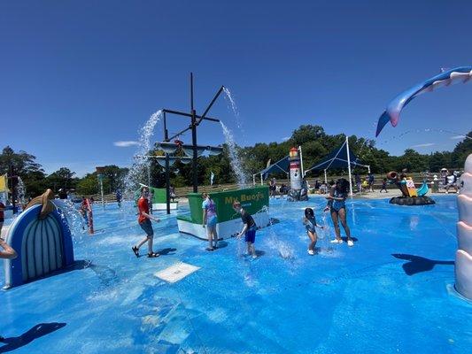 Chessie's Big Backyard