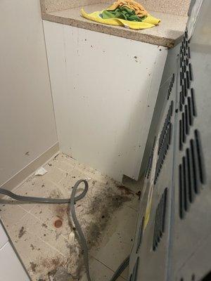 Winx Cleaning Services