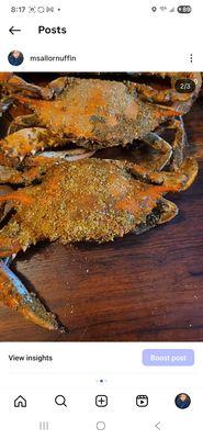 "Large" male that in all actuality is a regular