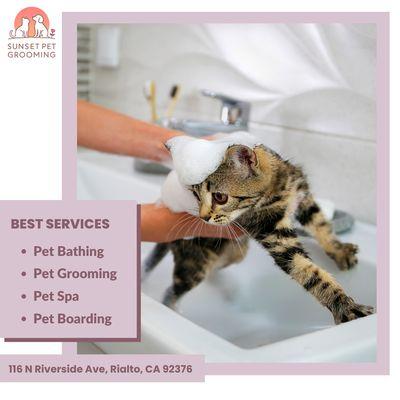 Sunset Pet Grooming