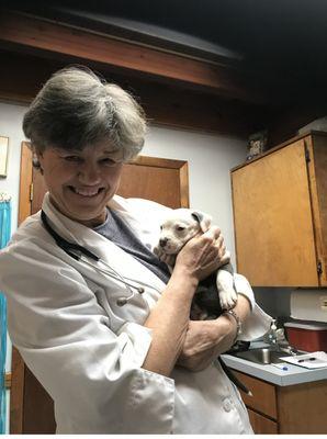 Cleveland Pet Hospital and Health Center