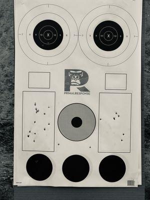 My target. 2 each of: A zone, B zone, and NRA bullseye, along with zeroing and black circles.