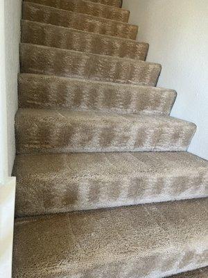 Souza's Carpet Cleaning
