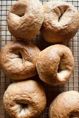 Holy Ground Bakery & Cafe