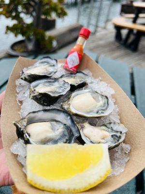 Grassy Bar Oyster Company