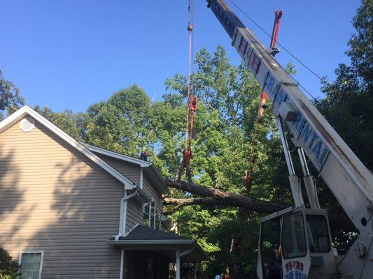 Holder & Jones Tree Service