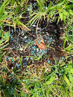 Garden Care and Maintenance Jony Gonzalez