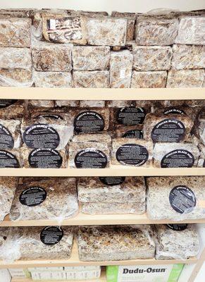 Universal Body Oils & Herbs