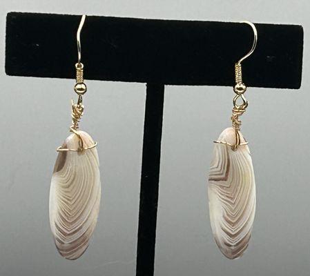 Shellys Stones and Shells