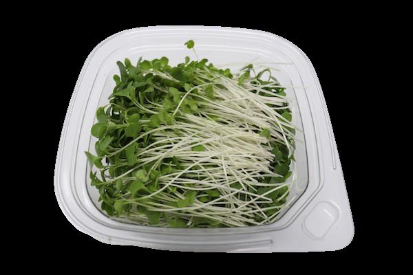 Seatown Microgreens