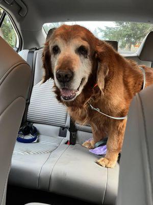 Tender Touch Animal Hospital