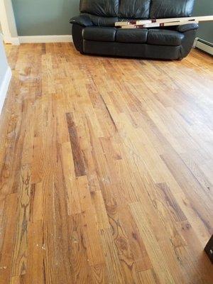 Hydrofresh Cleaning & Restoration