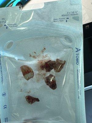 Lee and Lee Orthodontics