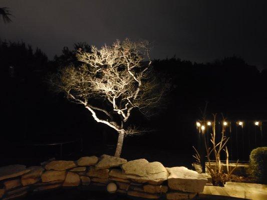 Landscape lighting Barton Creek Austin
