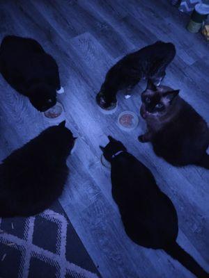 He has done their checkups-- with extra care and recommendations.