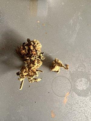 Basic ass Citrus Krush
