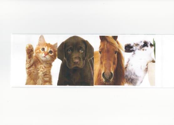 For the Love of Our Pets Memorial Service