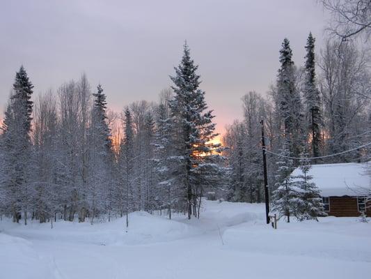 Winter day at Wildlife North