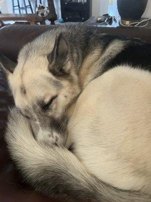 After a Saturday of play