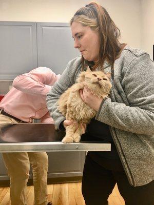 Oliver: "No. No. Immediately NO."