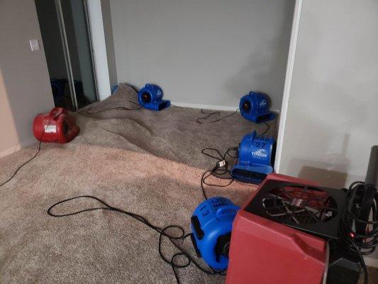 Water & Mold Be Gone