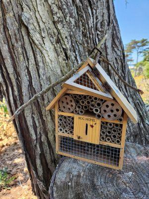 Bug house seemed cool but maybe vacant