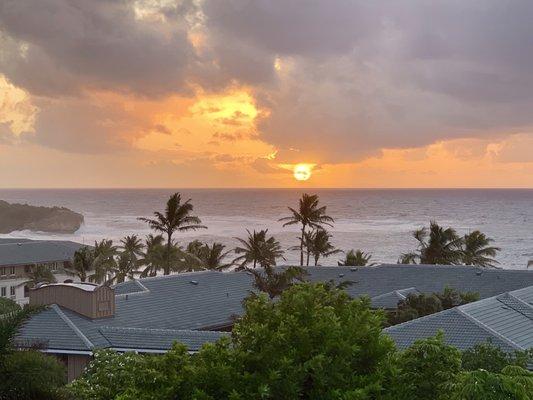 Orchid Vacation Rental House