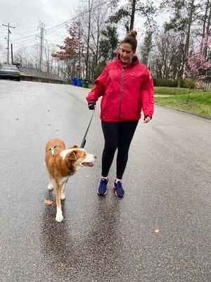 A Whole Lotta Love Dog Walking and Pet Services