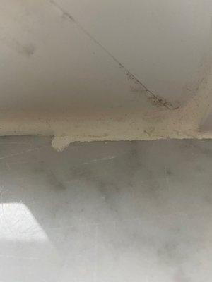 Impact Pro Windows & Doors