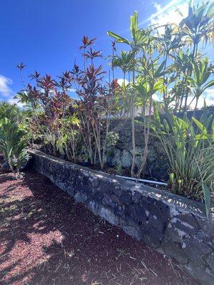 Southern Winds Landscaping