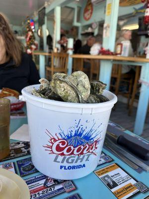 Oysters
