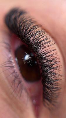 Brazilian Style Lashes