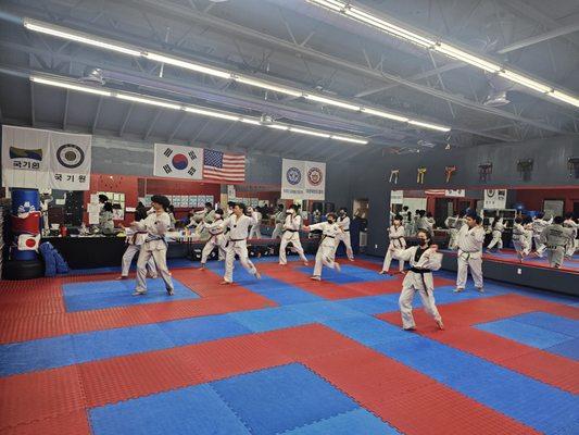 U.S Black Belt Center - Walnut