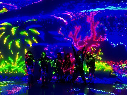 Doral Academy - Saddle