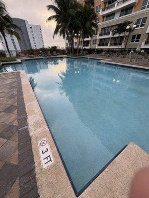 White Shark Pool Services